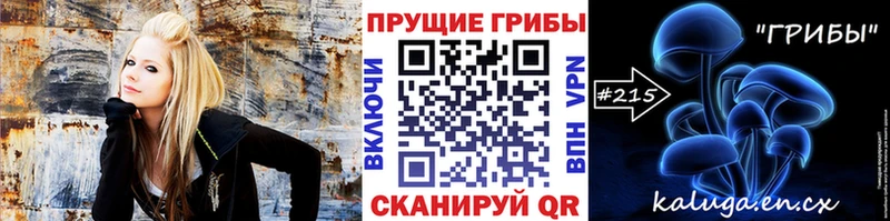 Галлюциногенные грибы Psilocybe  Купить где  Змеиногорск 